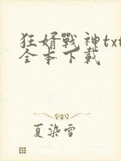 狂婿战神txt全本下载
