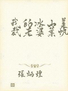 我的冰山美女总裁老婆叶帆