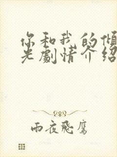 你和我的倾城时光剧情介绍