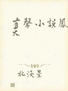 有声小说凤唳九天