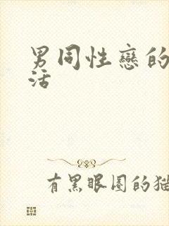 男同性恋的性生活