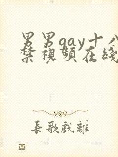 男男gay十八禁视频在线观看封面