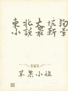东北大坑狗儿娘小说最新章节封面
