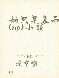 她只是表面清纯(np)小说