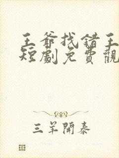 王爷找错王妃了短剧免费观看