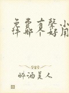 免费有声小说软件哪个好用