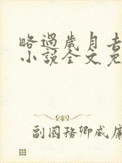 略过岁月去爱你小说全文免费阅读