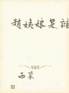 赵姨娘是谁的妾