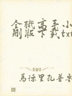 全职高手小说未删版下载txt