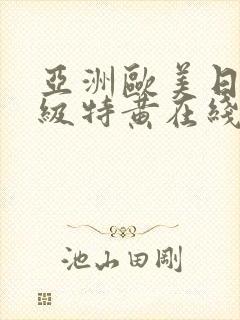 亚洲欧美日韩一级特黄在线封面