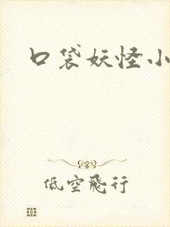 口袋妖怪小说封面