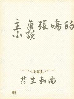 主角张鸣的官场小说