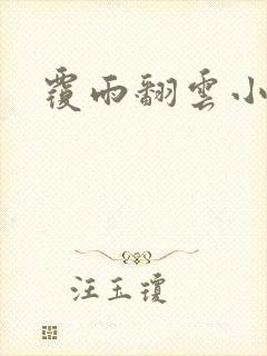 覆雨翻云小说封面