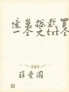 亿万总裁买一送一全文txt全文下载封面
