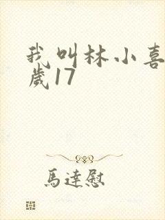 我叫林小喜今年岁17封面