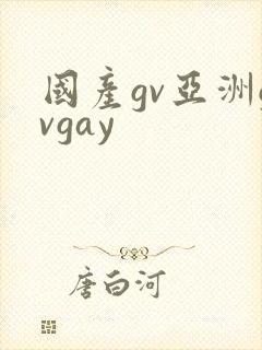 国产gv亚洲gvgay