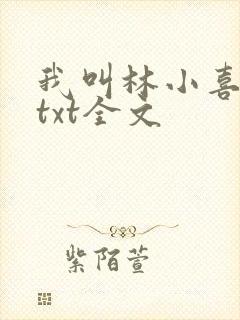 我叫林小喜乖宝txt全文