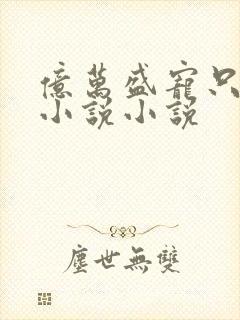 亿万盛宠只为你小说小说