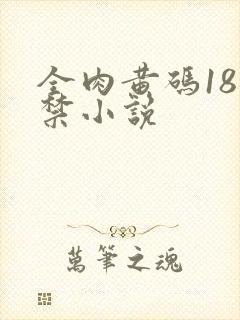 全肉黄码18无禁小说封面