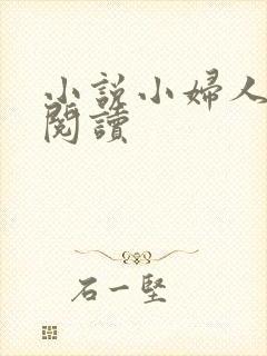 小说小妇人在线阅读