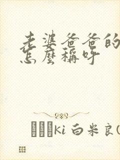 老婆爸爸的姐姐怎么称呼