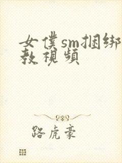 女仆sm捆绑调教视频