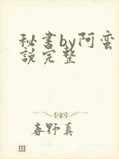 秘书by阿蛮小说完整