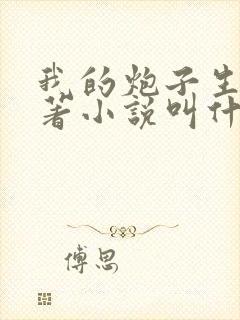 我的炮子生涯原著小说叫什么