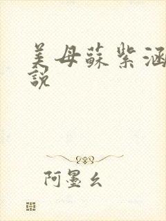 美母苏紫涵全小说封面