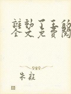 谁动了王的毒妃全文免费阅读