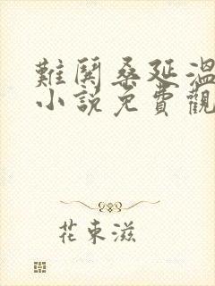 难哄桑延温以凡小说免费观看封面