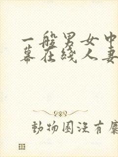 一般男女中文字幕在线人妻av