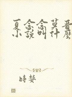 夏念念莫晋北的小说叫什么