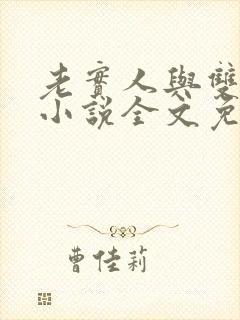 老实人与双胞胎小说全文免费阅读