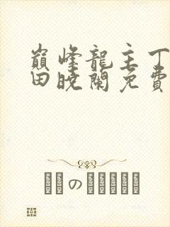 巅峰龙主丁长顺田晓兰免费阅读