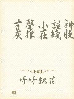 有声小说神墓大灰狼在线收听