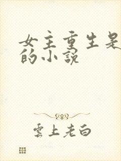 女主重生是学霸的小说