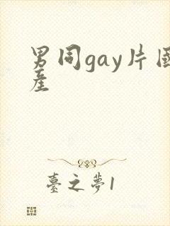 男同gay片国产封面