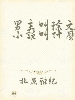 男主叫徐文东的小说叫什么名字