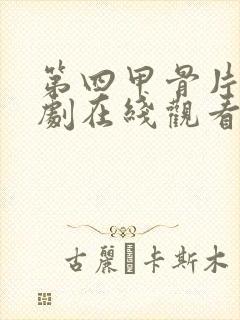 第四甲骨片电视剧在线观看