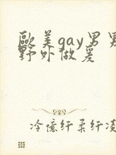 欧美gay男男野外做爰