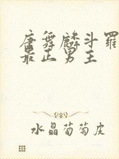 唐舞麟斗罗三观最正男主