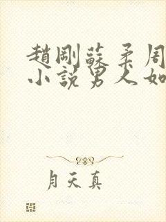 赵刚苏柔周明权小说男人如铁