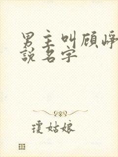 男主叫顾峥的小说名字