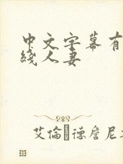 中文字幕有码在线人妻封面