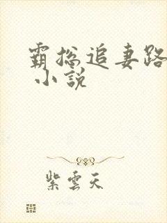 霸总追妻路漫漫 小说