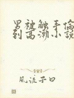 男被触手伦流澡到高潮小说