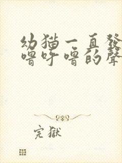 幼猫一直发出呼噜呼噜的声音是什么原因