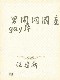 男同网国产原创gay片封面