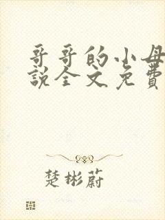 哥哥的小母狗小说全文免费阅读笔趣阁封面